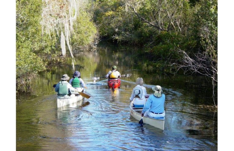 Big Cypress National Preserve Florida