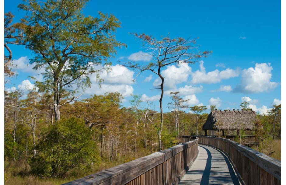 Big Cypress National Preserve Florida