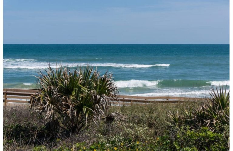 Canaveral National Seashore Beach Florida