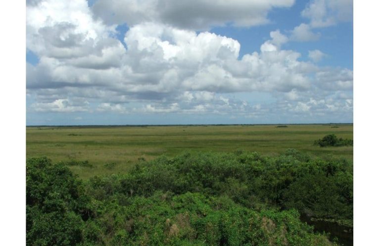 Everglades Nationalpark Florida