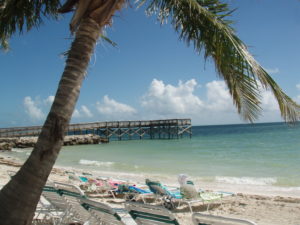 Florida Strand mit Palme