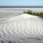 Fort De Soto Park Florida