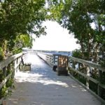 Four Mile Cove Ecological Preserve Florida