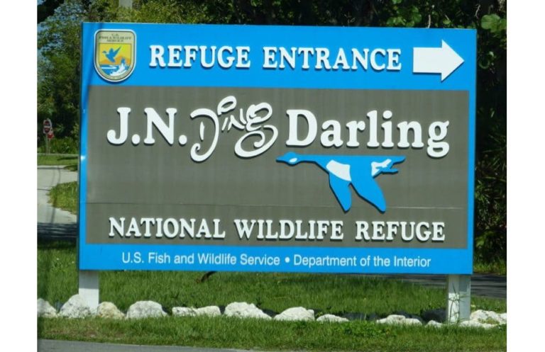 J. N. „Ding“ Darling National Wildlife Refuge Florida