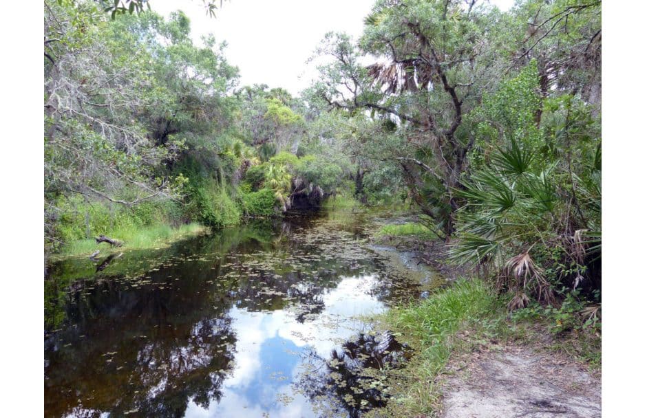 Myakka River State Park Florida