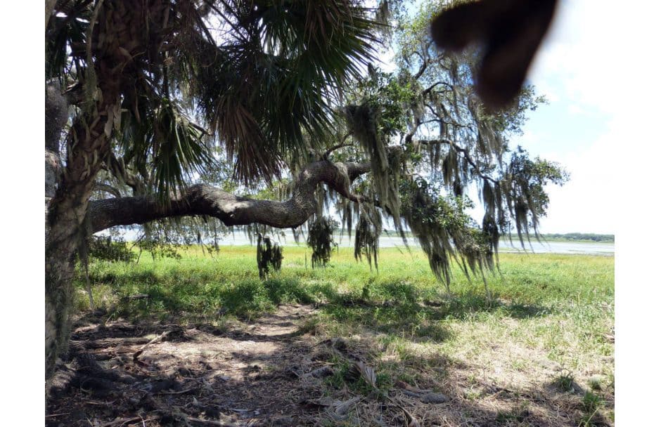 Myakka River State Park Florida