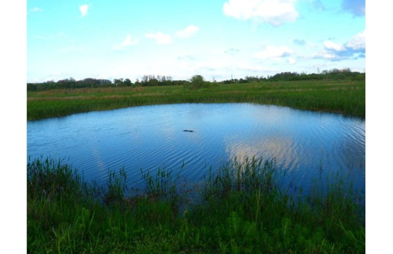 Pine Island National Wildlife Refuge Florida