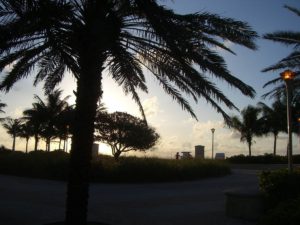 Sonnenuntergang Palmen und Strand Florida