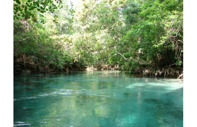 Weeki Wachee Springs State Park Florida